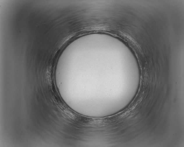 X0000075391162200610061857