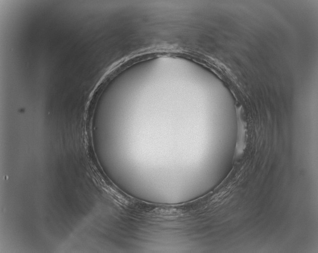 X0000075391168200610061857