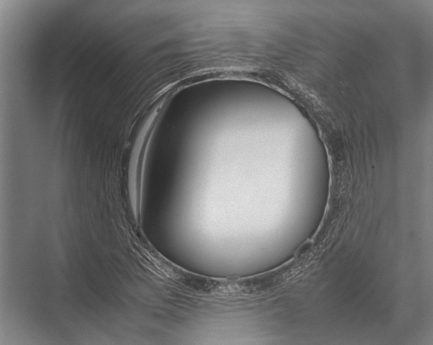 X0000075391169200610061857