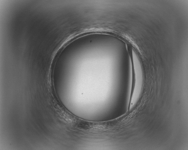 X0000075391173200610061857