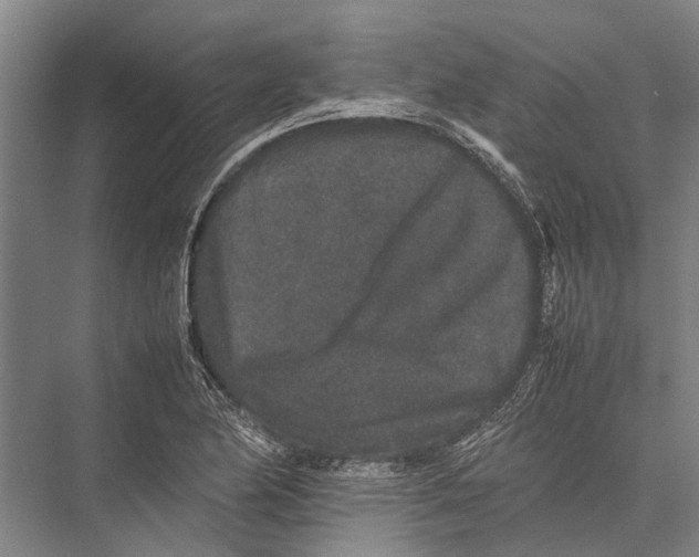 X0000075391174200610061857