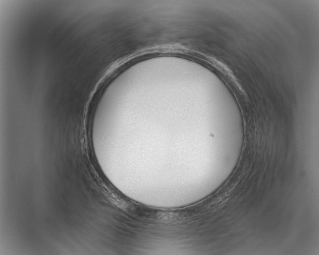 X0000075391176200610061857