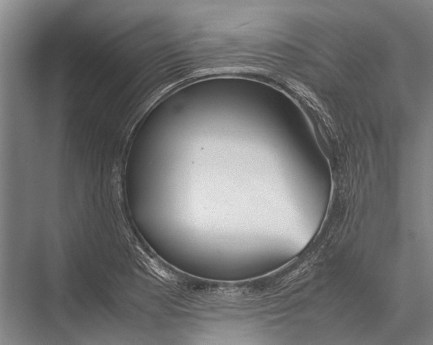 X0000075391177200610061857