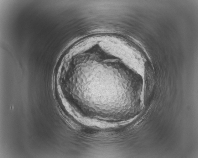 X0000075391179200610061857