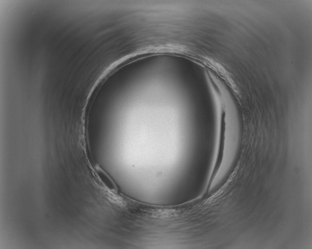 X0000075391184200610061857