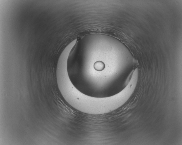 X0000075391202200610061856