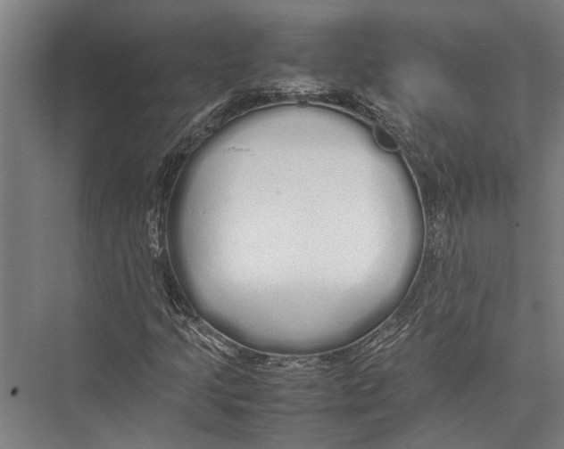 X0000075391205200610061856