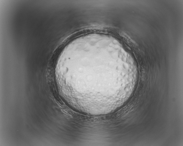 X0000075391208200610061856