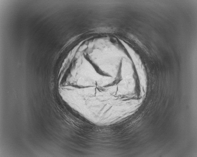 X0000075391213200610061856