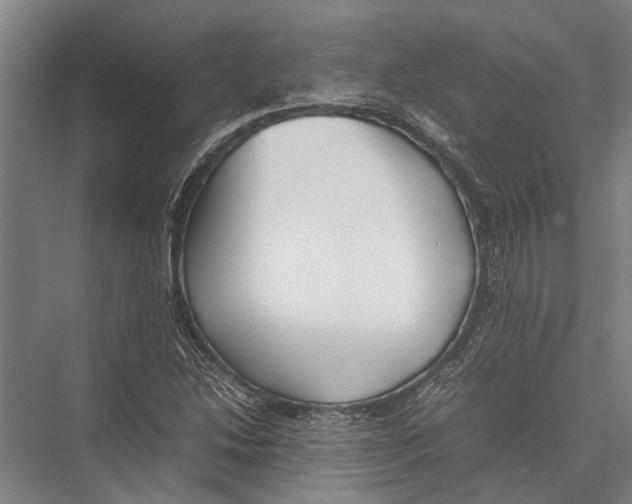 X0000075391214200610061856