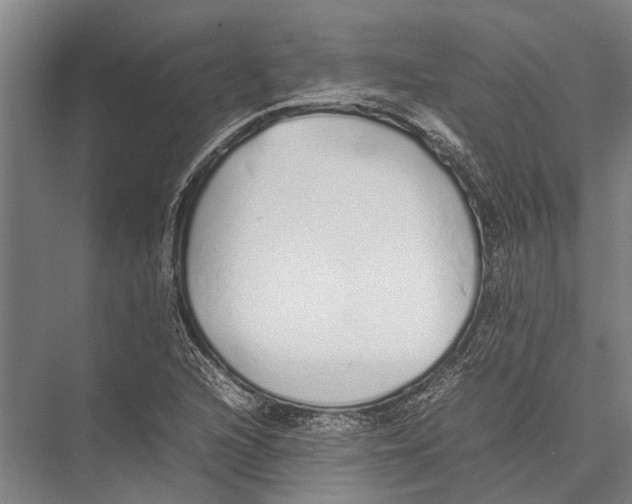X0000075391216200610061856