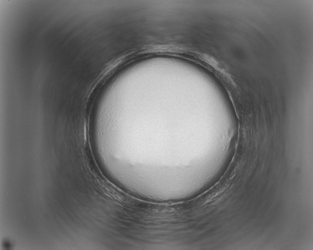X0000075391221200610061856