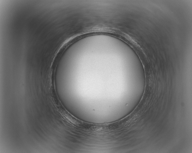 X0000075391222200610061856