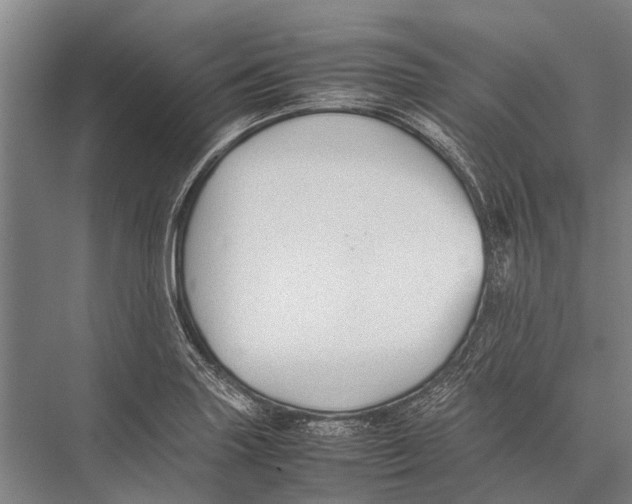 X0000075391227200610061856