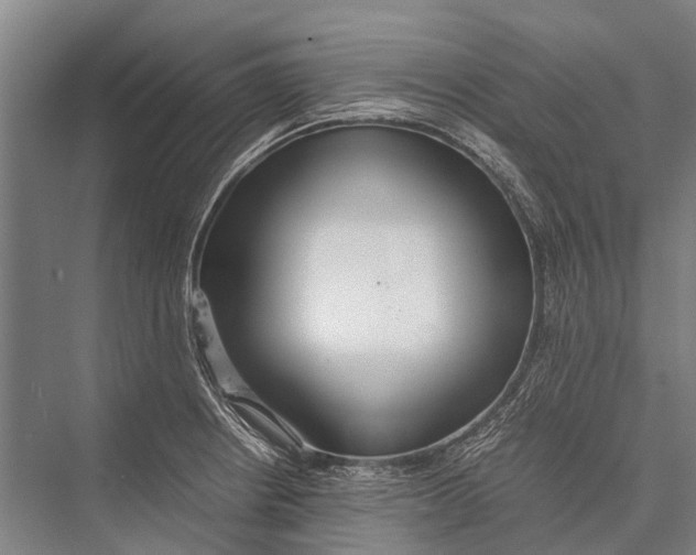 X0000075391234200610061856
