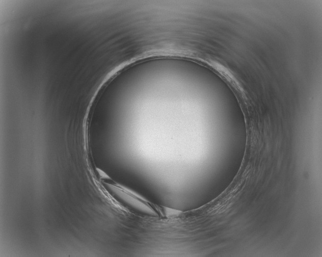 X0000075391238200610061856