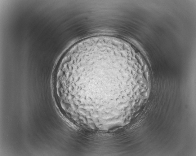 X0000075391243200610061856