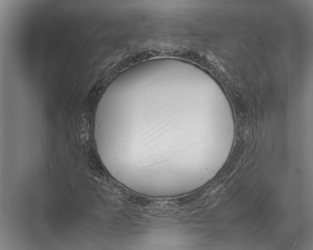 X0000075391253200610061856