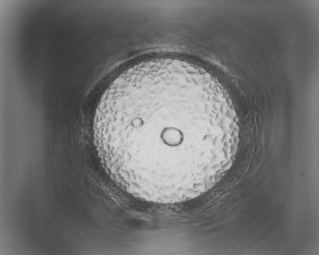 X0000075391255200610061855