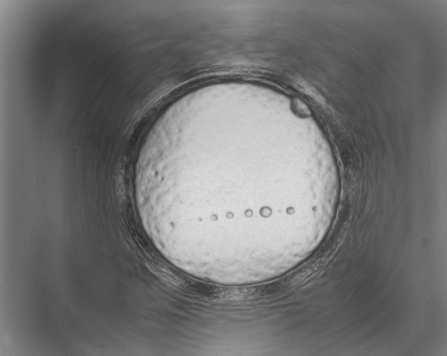 X0000075391259200610061855