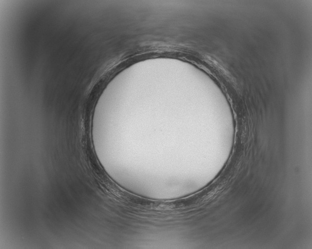 X0000075391261200610061855