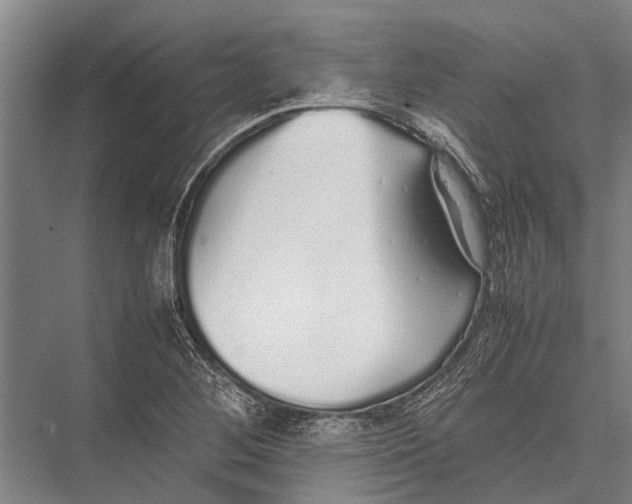X0000075391268200610061855