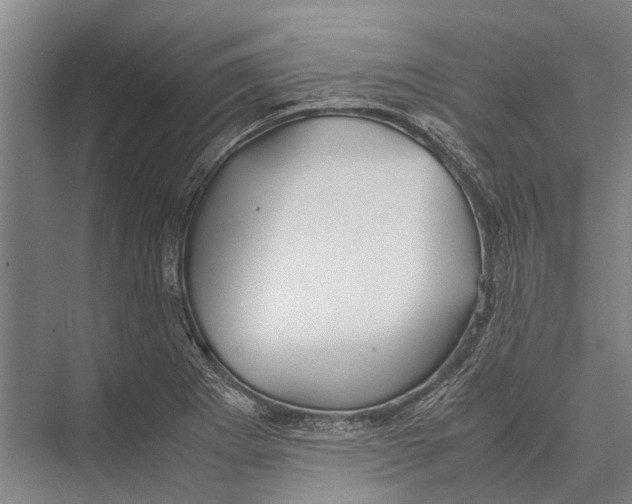 X0000075391273200610061855