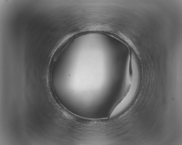 X0000075391277200610061855