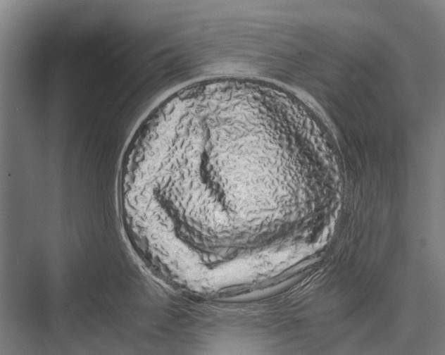 X0000075391295200610061855