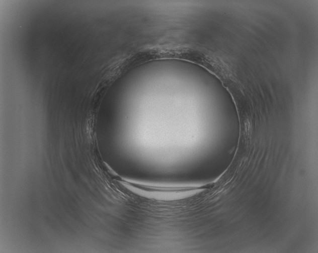 X0000075391300200610061854