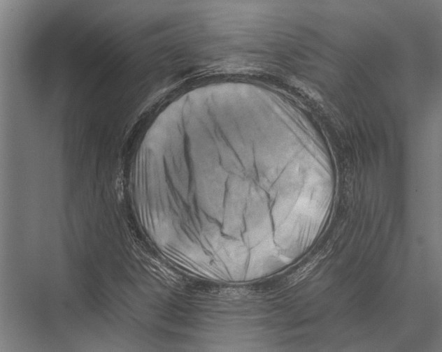 X0000075391306200610061854