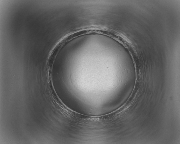 X0000075391310200610061854