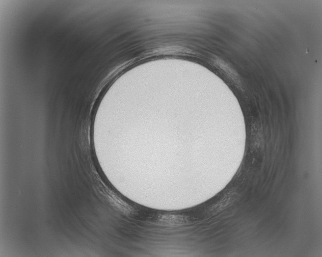 X0000075391322200610061854