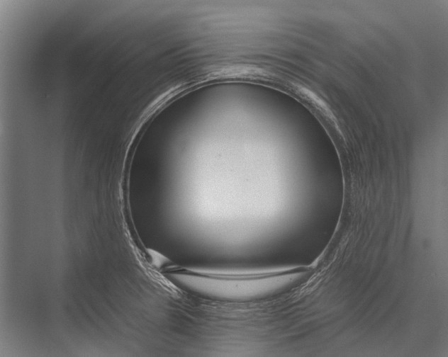 X0000075391330200610061855