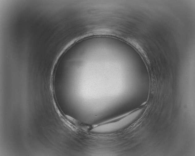 X0000075391342200610061855