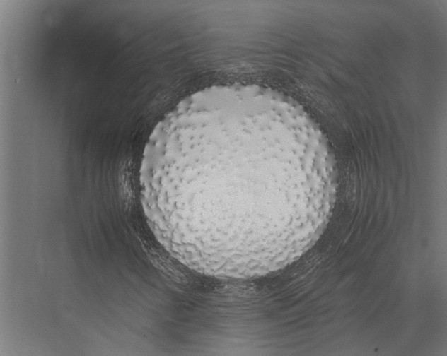 X0000075391346200610061854