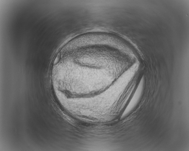 X0000075391367200610061854