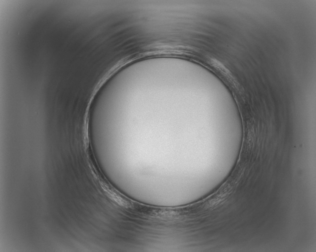 X0000075391370200610061854