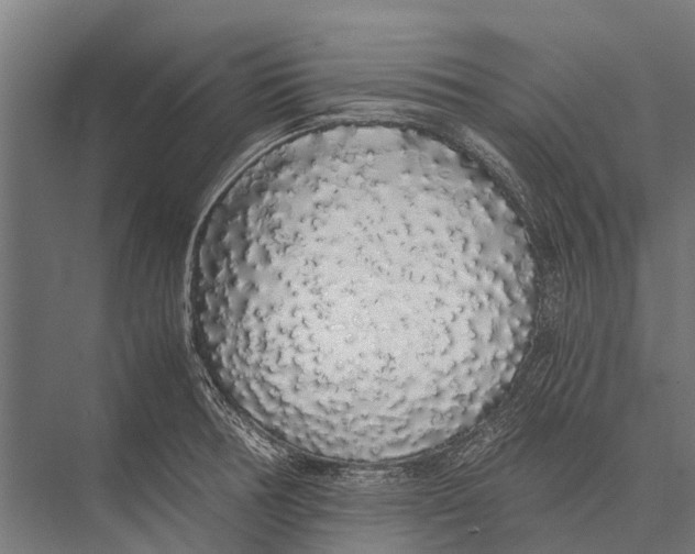 X0000075391378200610061853