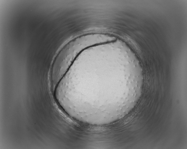 X0000075391382200610061853