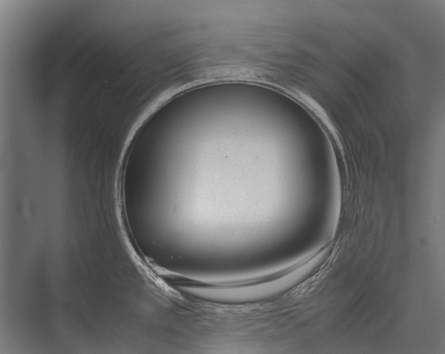 X0000075391389200610061853