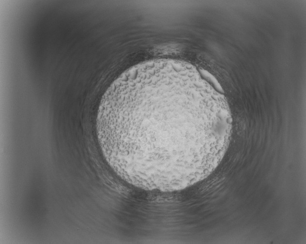 X0000075391393200610061852
