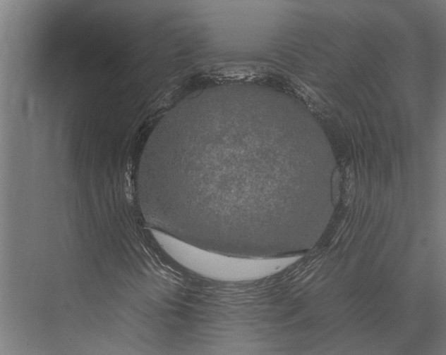 X0000075391394200610061852