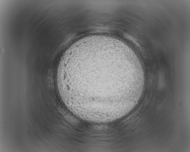 X0000075391403200610061853