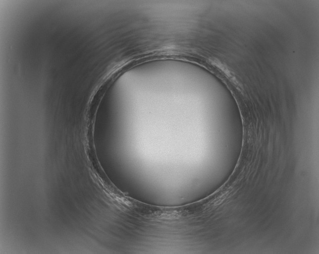 X0000075391410200610061853