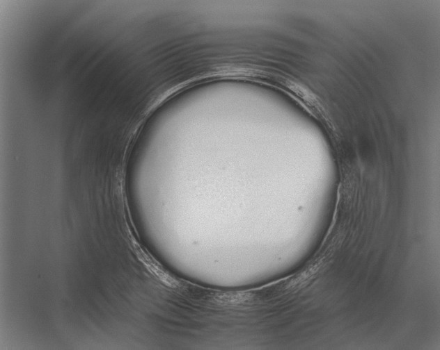 X0000075391417200610061853
