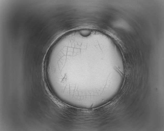 X0000075391423200610061853