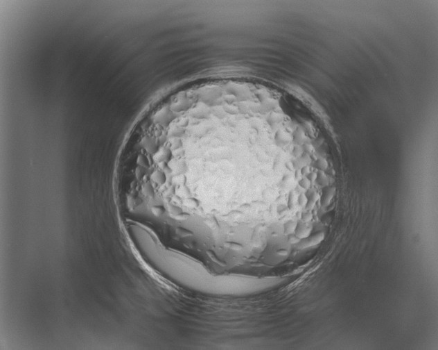 X0000075391429200610061853