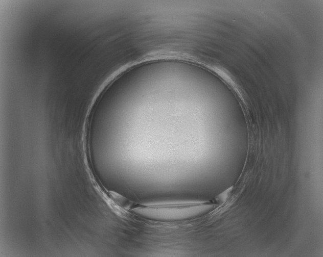X0000075391438200610061853