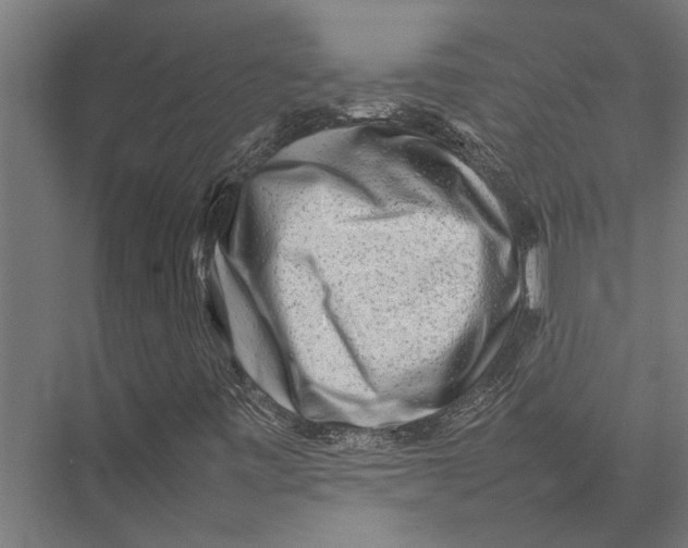X0000075391443200610061852